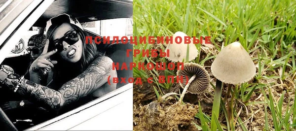 PSILOCYBIN Белокуриха