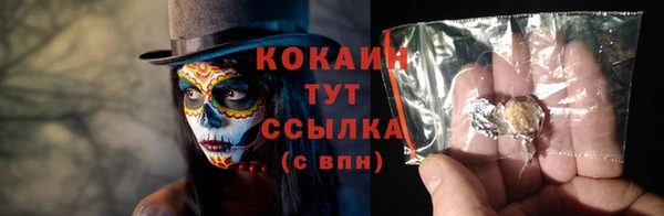 PSILOCYBIN Белокуриха