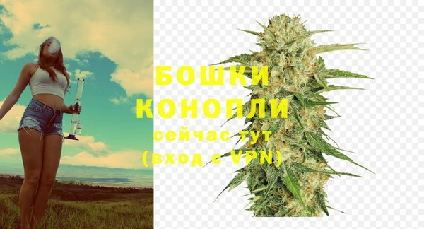 каннабис Богданович