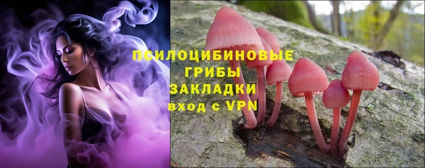 прущие крисы Балахна