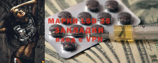 PSILOCYBIN Белокуриха